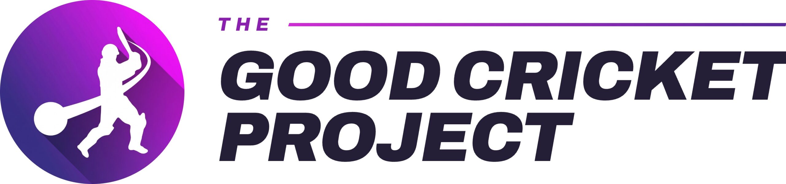 The Good Cricket Project